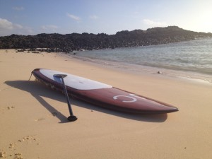 SUP Board mit Paddle