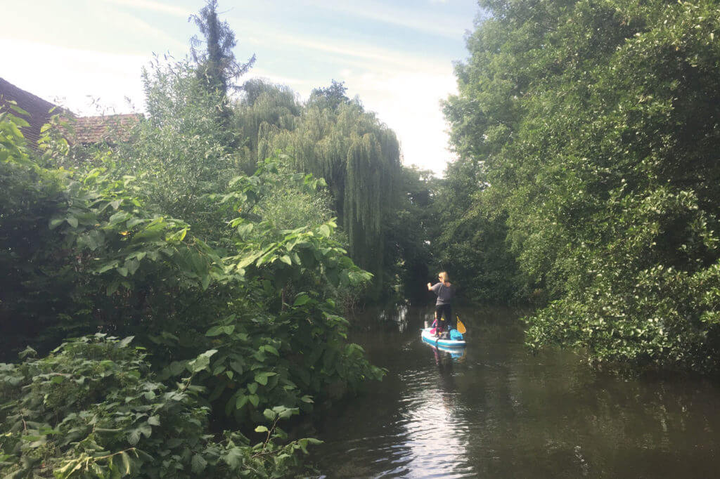 SUP-Tour auf der alten Elz |von Riegel nach Kenzigen